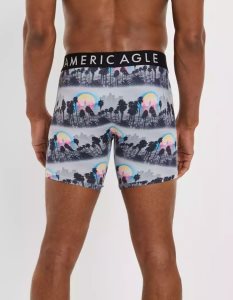 American Eagle AEO City Sun 6" Flex Slip Herren Grau | ICQME0327