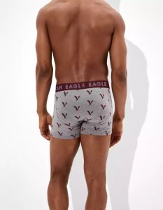 American Eagle AEO Eagle 4.5" Klassische Slip Herren Grau | EHXIJ0432