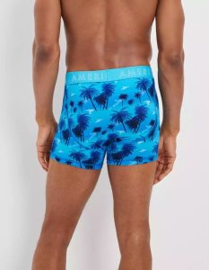 American Eagle AEO Palm Trees 4.5" Klassische Slip Herren Blau | RKTAF8546