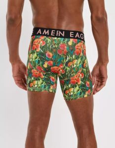 American Eagle AEO Peach Tree 6" Flex Slip Herren Grün | EQDZF5120