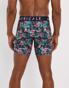 American Eagle AEO Tropical 6" Flex Slip Herren Türkis | CUFTX4279