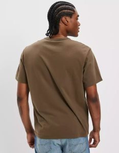 American Eagle AE Super Soft Legend V-Neck T-shirts Herren Olivgrün | BSJIT5270